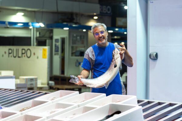 DAVID_ MAURI ATLANTIC_ SALMON