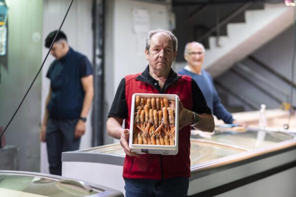 _JMA5875-Mejorado-NR copia (1)