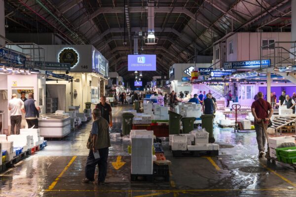 _JMA5465-Mejorado-NR copia (3)