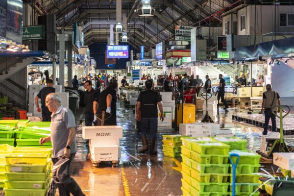 _JMA6079-Mejorado-NR copia (3)