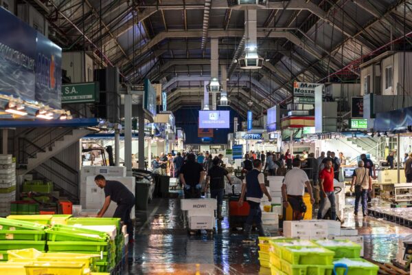 _JMA6098-Mejorado-NR copia (4)