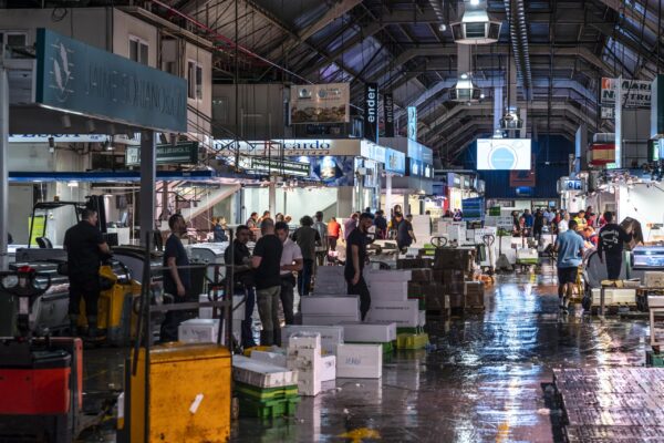 _JMA6166-Mejorado-NR copia (4)