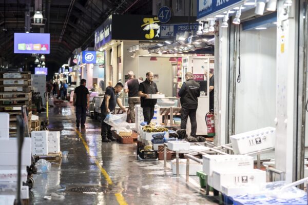 _JMA6602-Mejorado-NR copia (2)