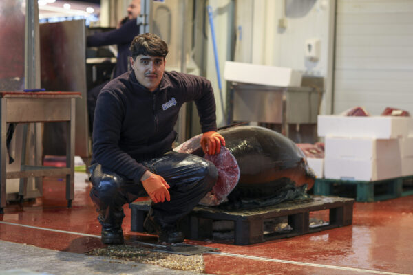 PESCADOS DE LA IGLESIA- ATUN